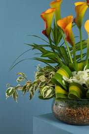 Growing Love Flower Vase